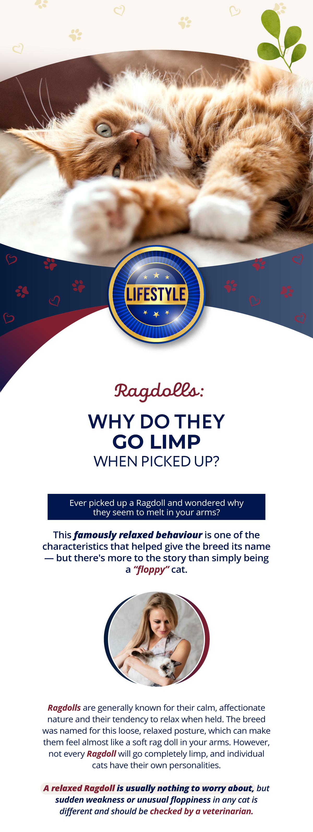 Ragdolls - Why do they go limp when Picked Up?