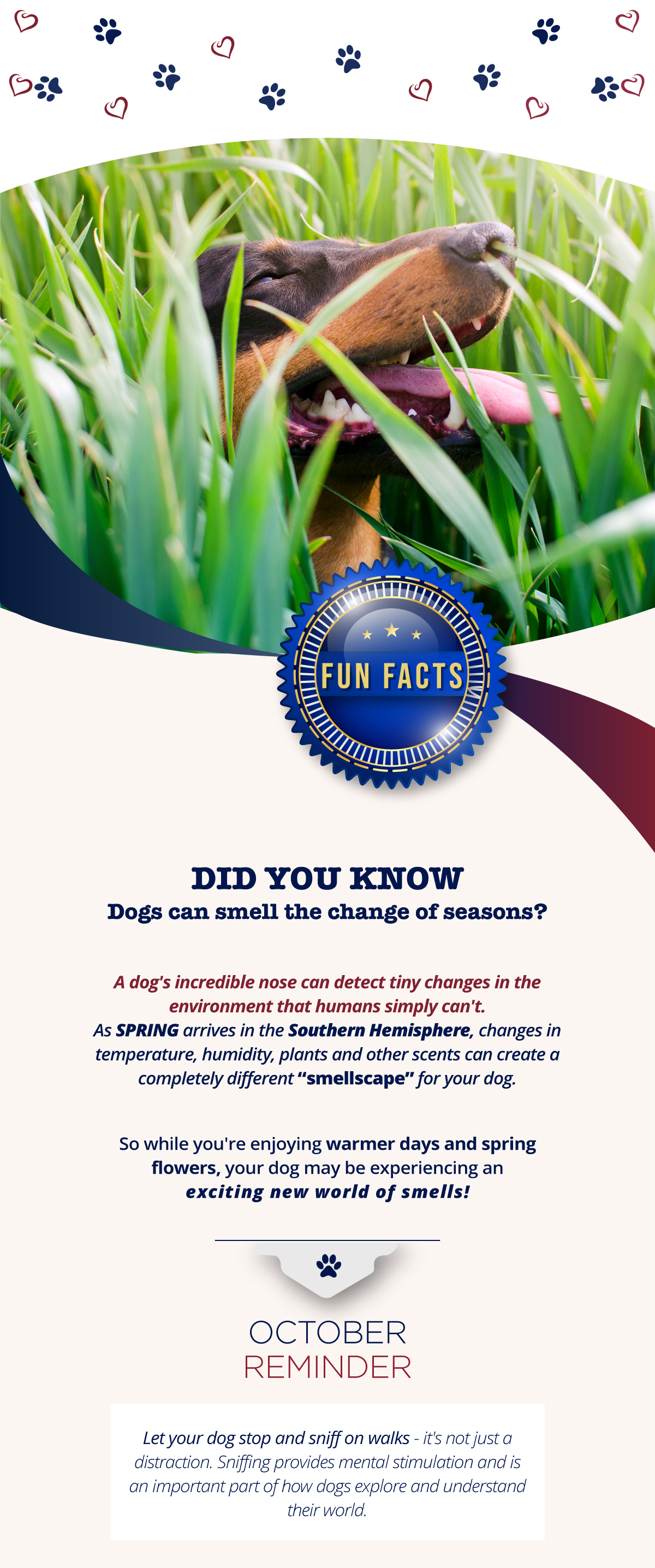 Did you know dogs can smell the change of seasons?