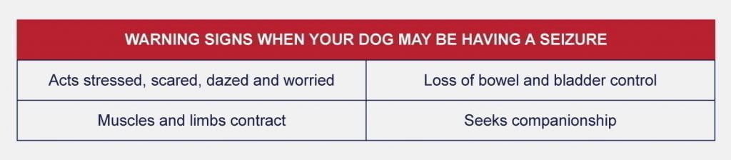 Warning signs when your dog may be having a seizure