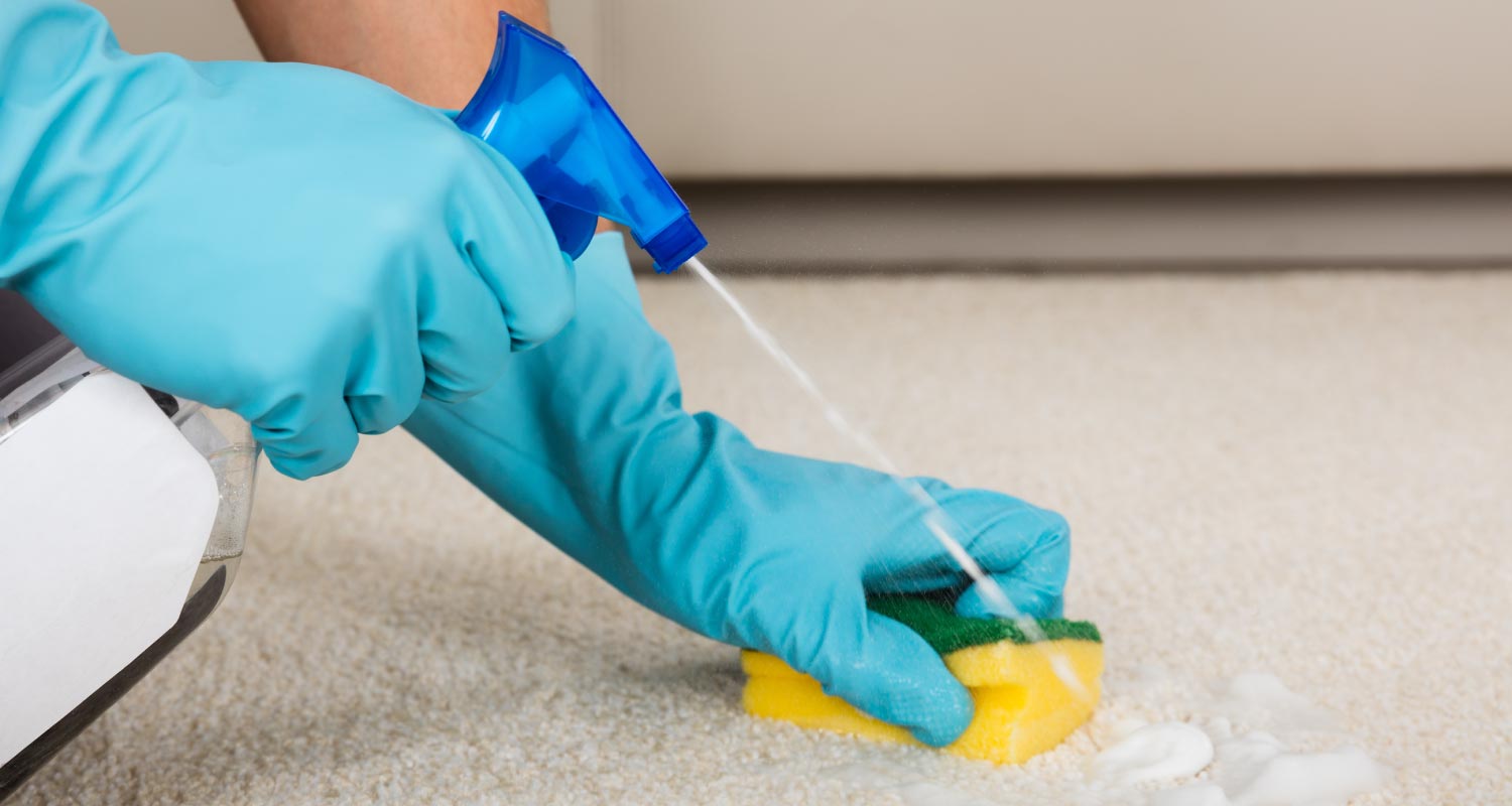 removing urine smells