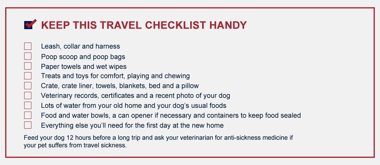 Moving house with a dog
