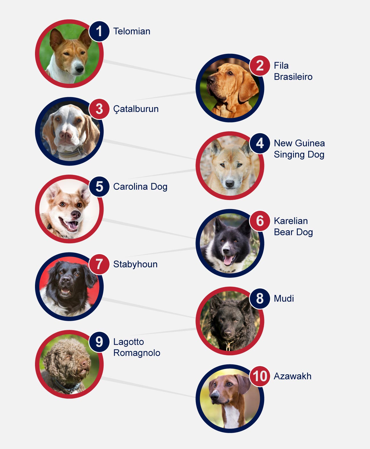 Top 10 rare breeds