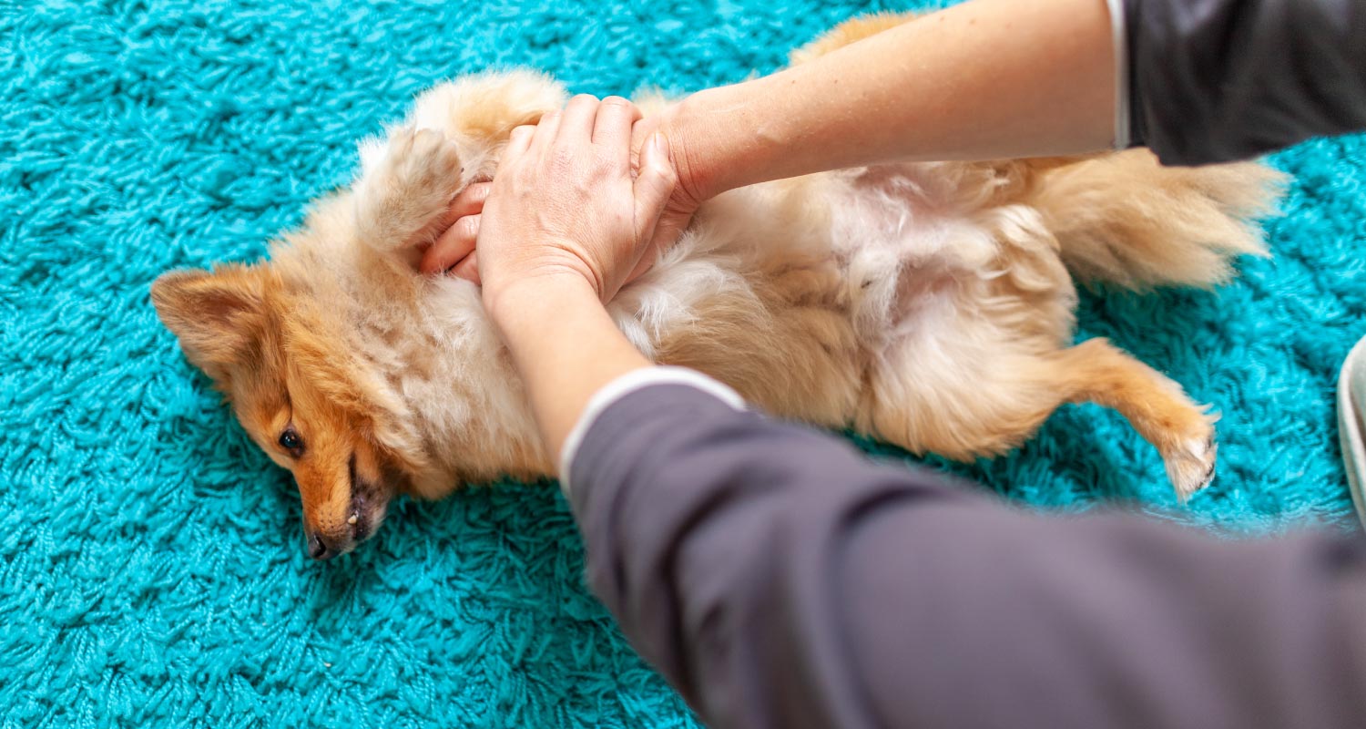 what you should know about cpr