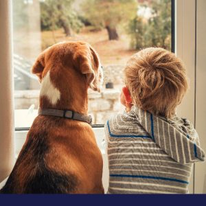 heart disease in dogs
