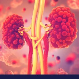 Kidney toxicity