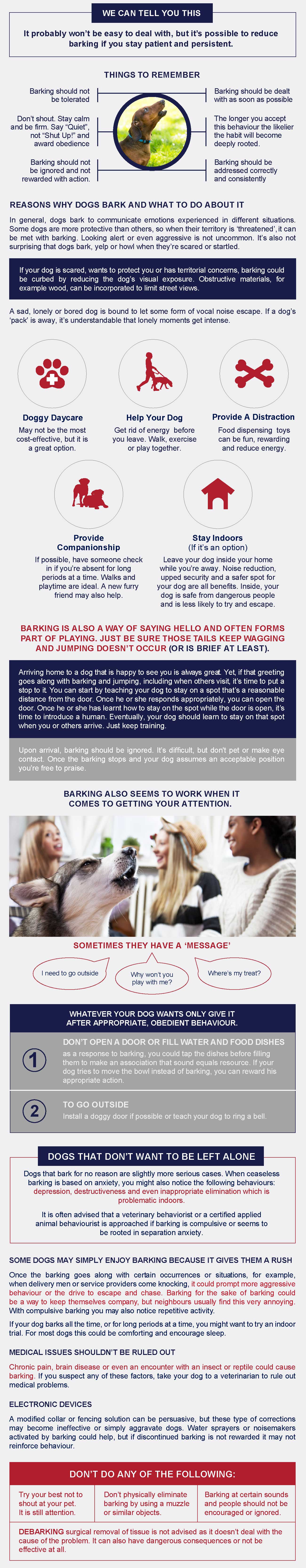 Why do dogs bark and how to retrain it - infographic