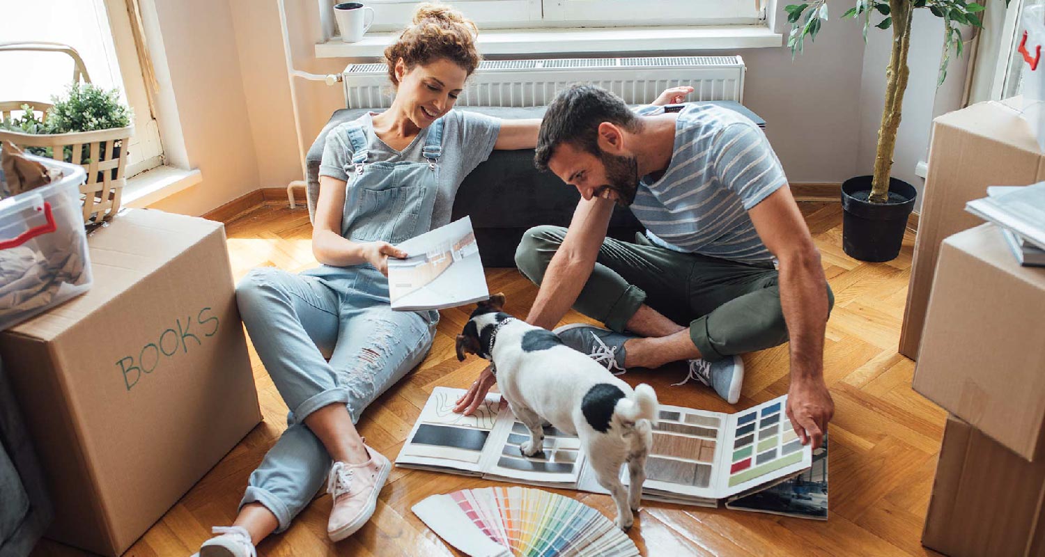 Moving house with a dog:checklist