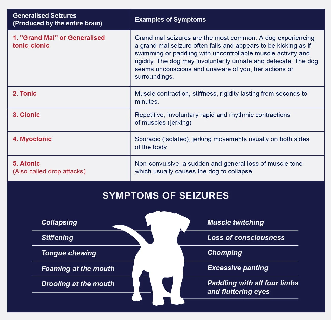 Focal epilepsy in store dogs