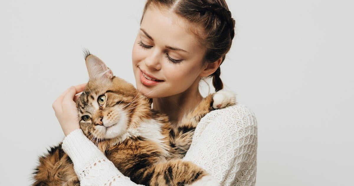 How To Respect Your Cat PetlifeAU™