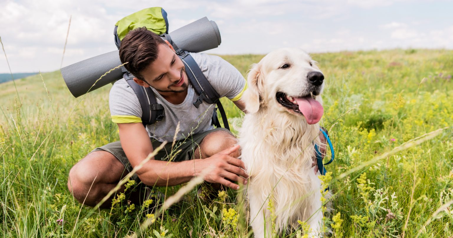 The Importance Of Pets In Our Lives PetlifeAU™