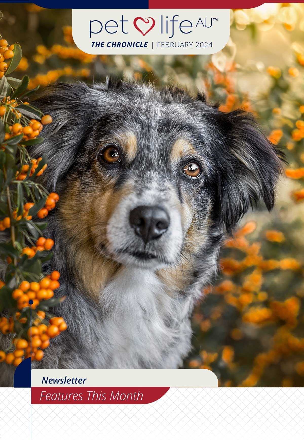 PetlifeAU The Chronicle February 2024